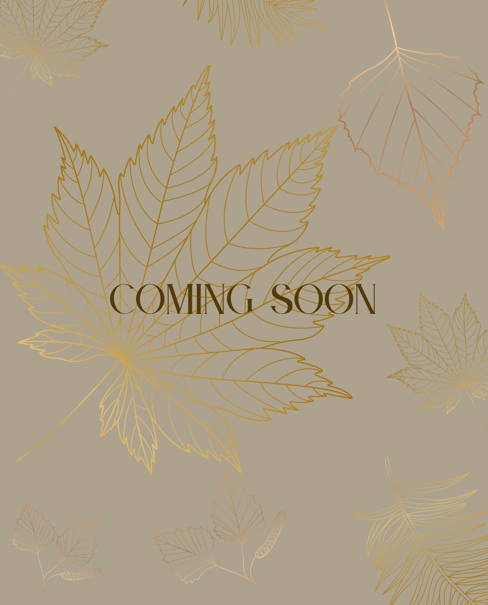 Home & Gift Artist Co-Op Coming Soon